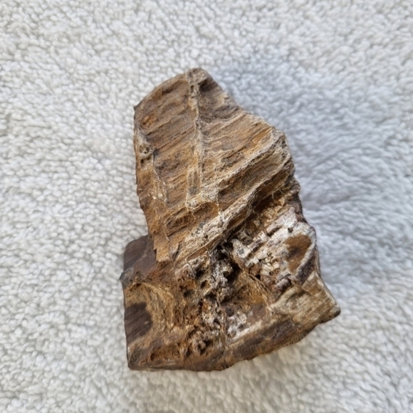 Raw Petrified Wood 11.9 OZ Measures 4Inches by 3 Inches by 1.25 Inches - Picture 2 of 7